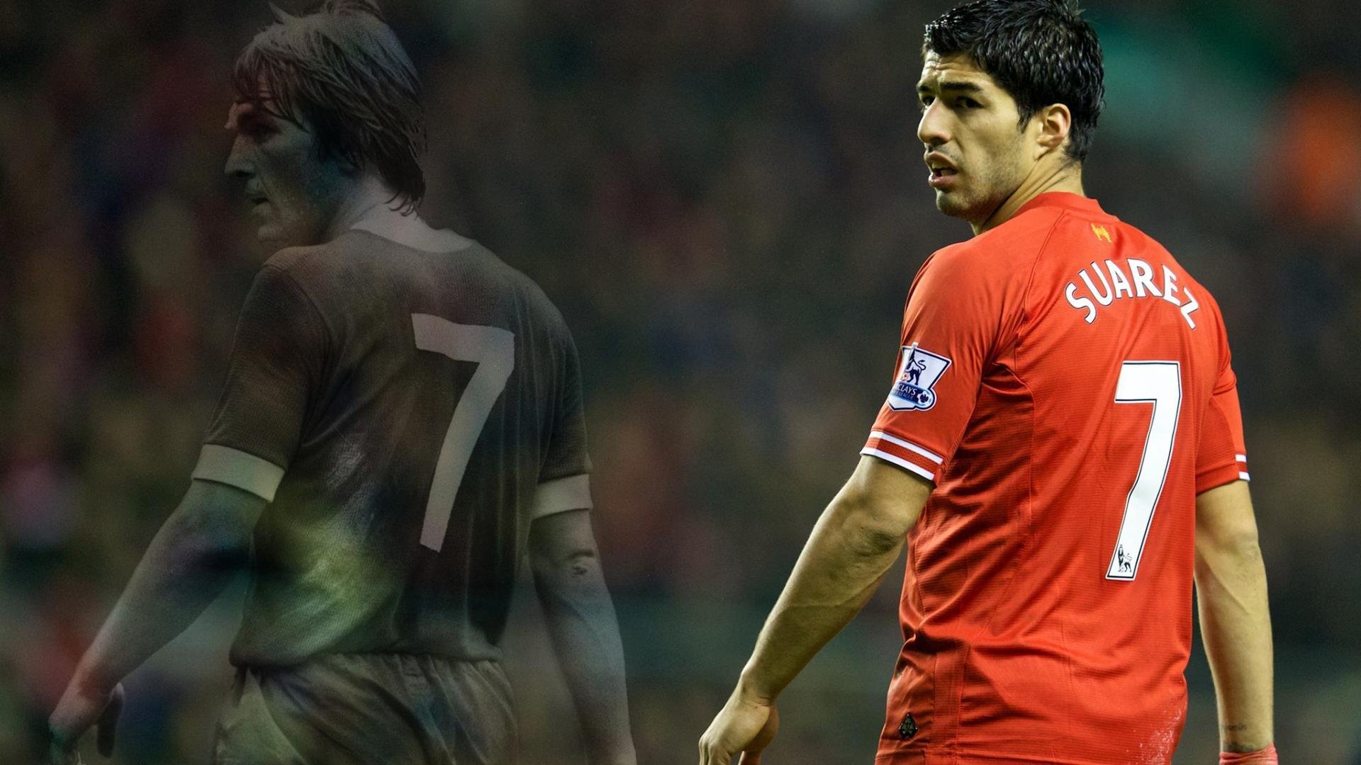 职业联赛引入赛事演示官制度提升球迷理解度，什么叫职业联赛