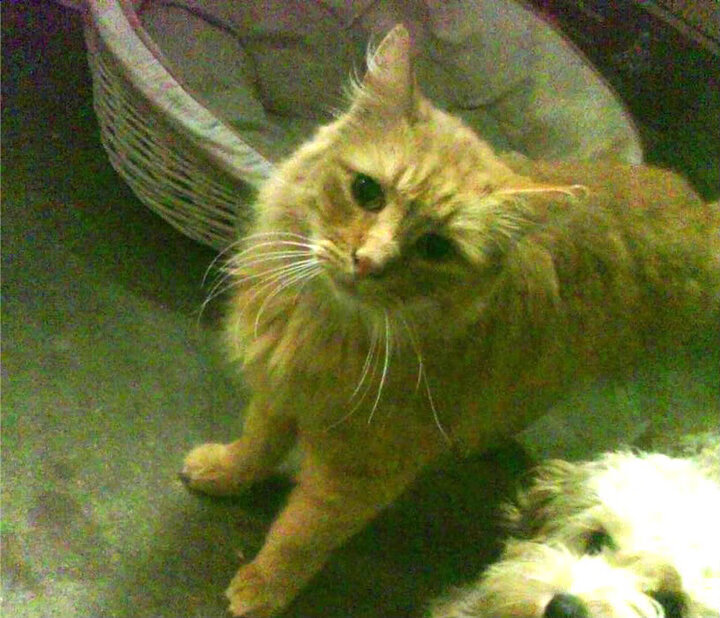 爱游戏登录入口-_传统体育馆升级：智能化的体验新篇章_，体育场馆智能化解决方案