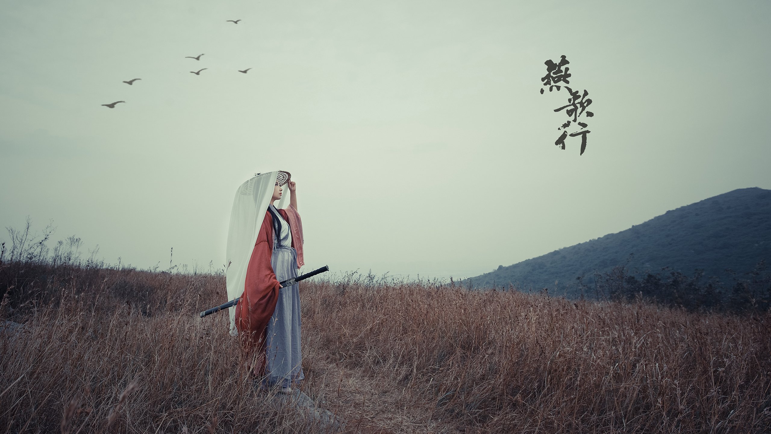 _传统体育馆升级：智能化的体验新篇章_，体育场馆智能化解决方案