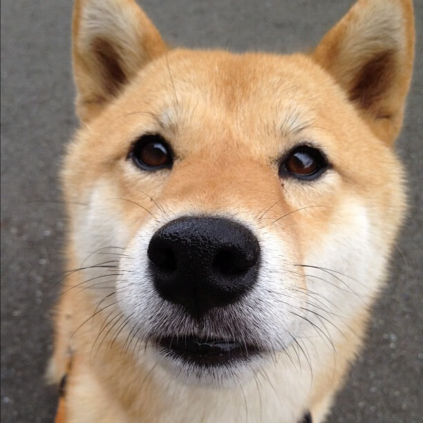 AYX GAME-_传统武术创新展：文化与运动的完美融合_，中国传统文化与武术文化之间的关系